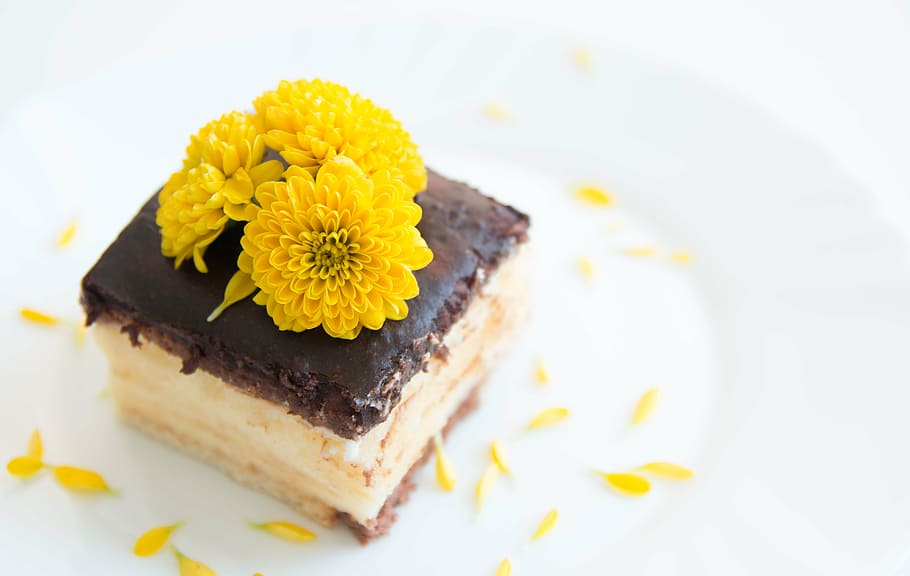 chocolate brownies, pie, cake, krémeš, sweet food, food and drink HD wallpaper