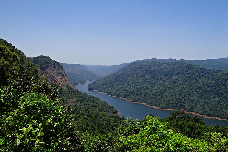 landscape photography of trees, Western Ghats, Sharavati River, HD wallpaper