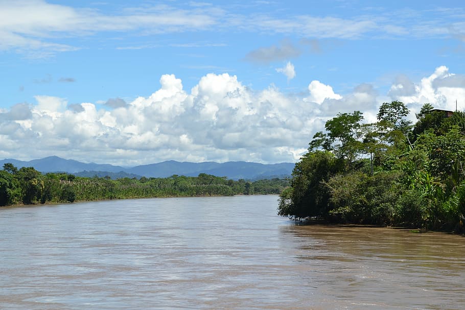jungle, peru, river, tree, water, plant, beauty in nature, cloud - sky HD wallpaper