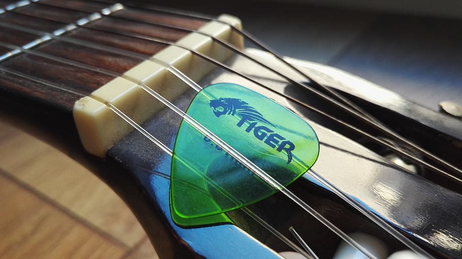 guitar, plectrum, tiger, handle, strings, music, classical guitar HD wallpaper