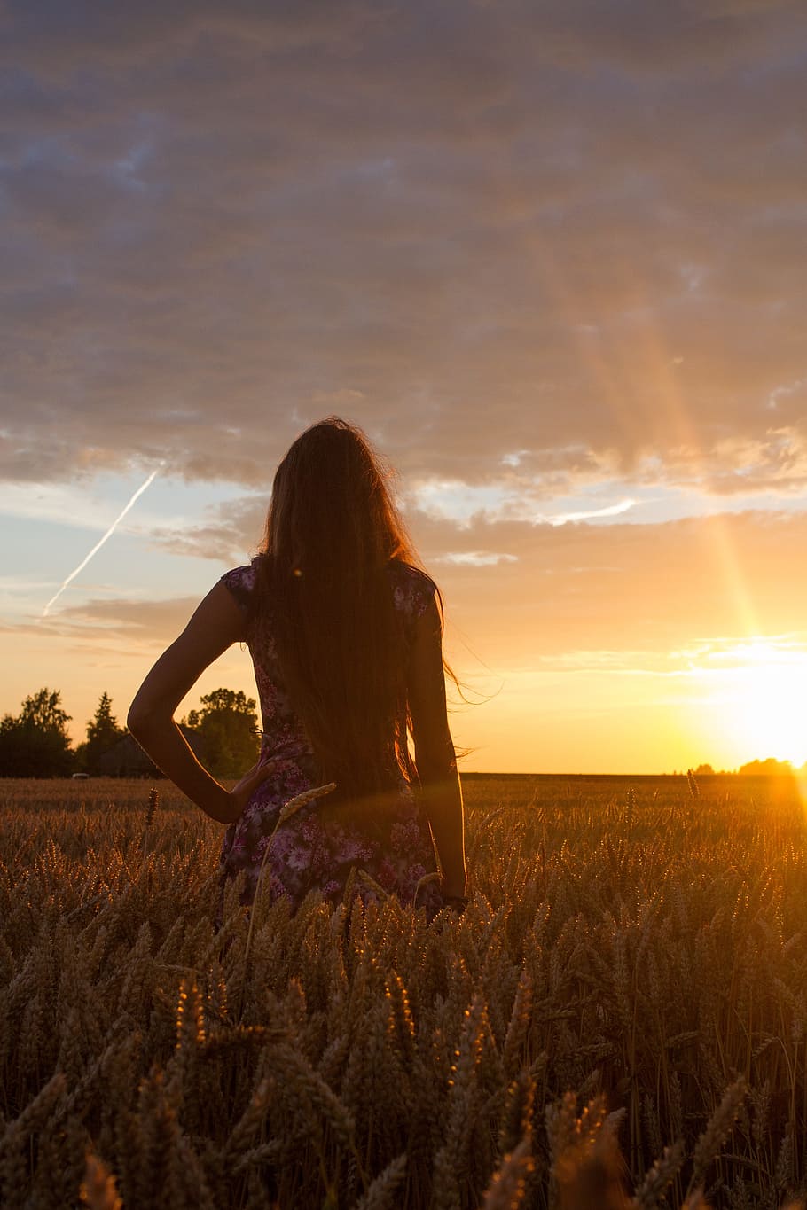 standing woman on grass at sunset, girl, young, dom, summer, dream, HD wallpaper