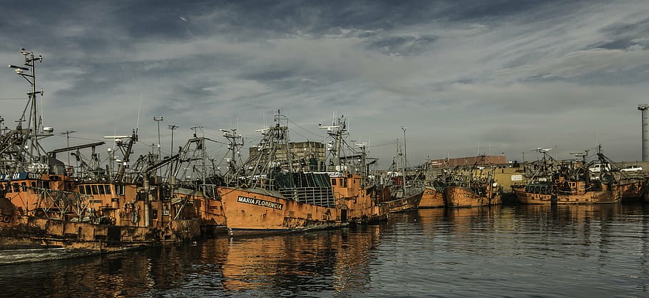 orange ship on ocean, boat, port, fishing, mar del plata, sea, HD wallpaper