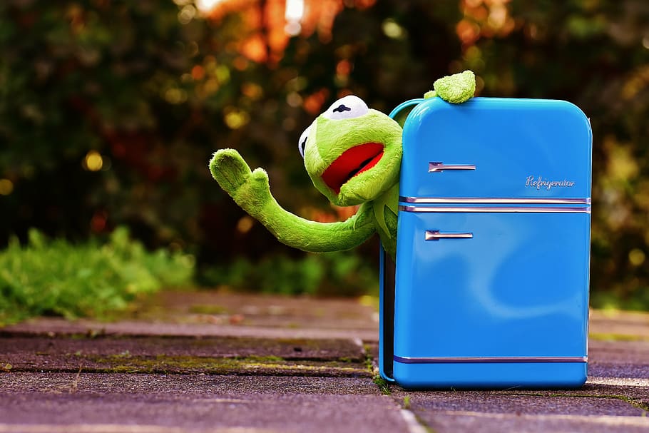 kermit, frog, refrigerator, funny, retro, green, toys, soft toy HD wallpaper