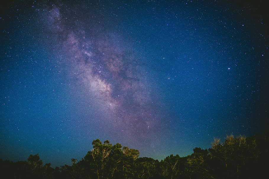 trees under blue sky, green leafed trees during night, purple HD wallpaper