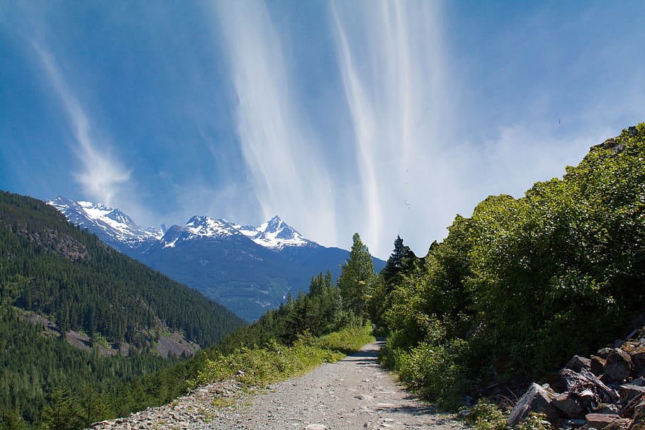 landscape photograph of forest on hills, mountain, path, nature HD wallpaper