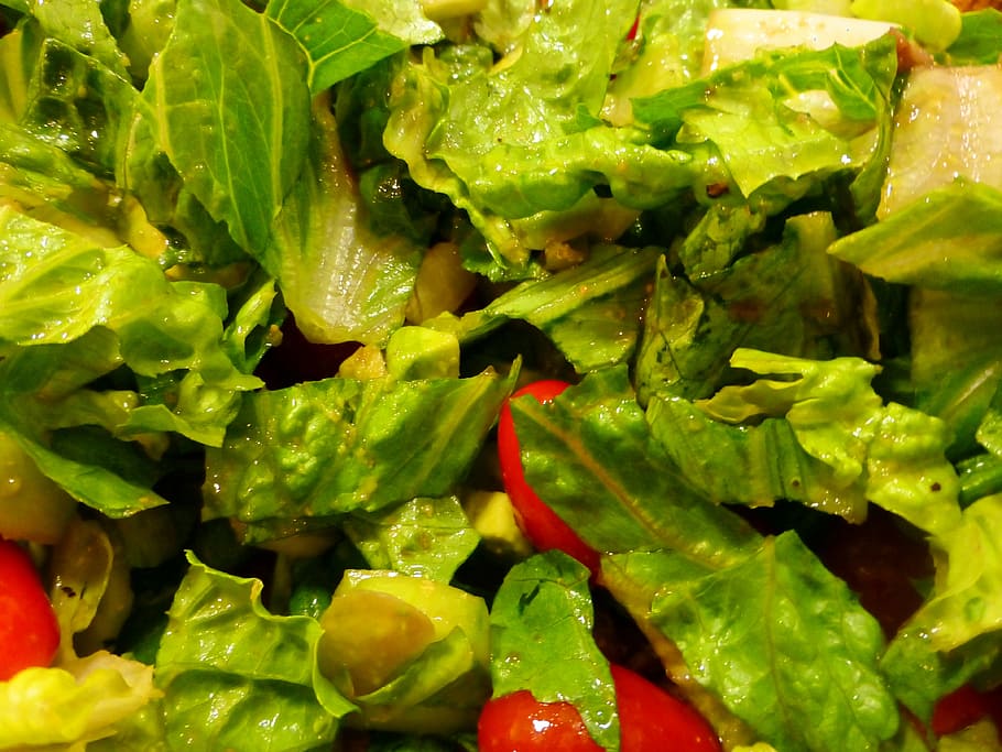 lettuce, tomatoes, vegetables, food, healthy, salad, delicious HD wallpaper