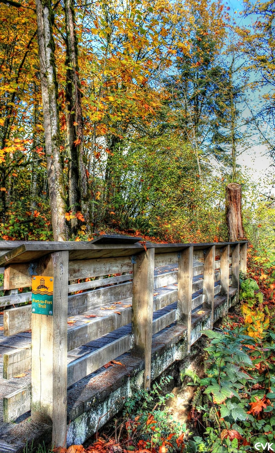 bridge, nature, trees, fort, trails, tourist attraction, landscape HD wallpaper