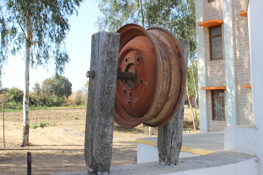 well, old, village, rajasthan, water, history, india, tree, HD wallpaper