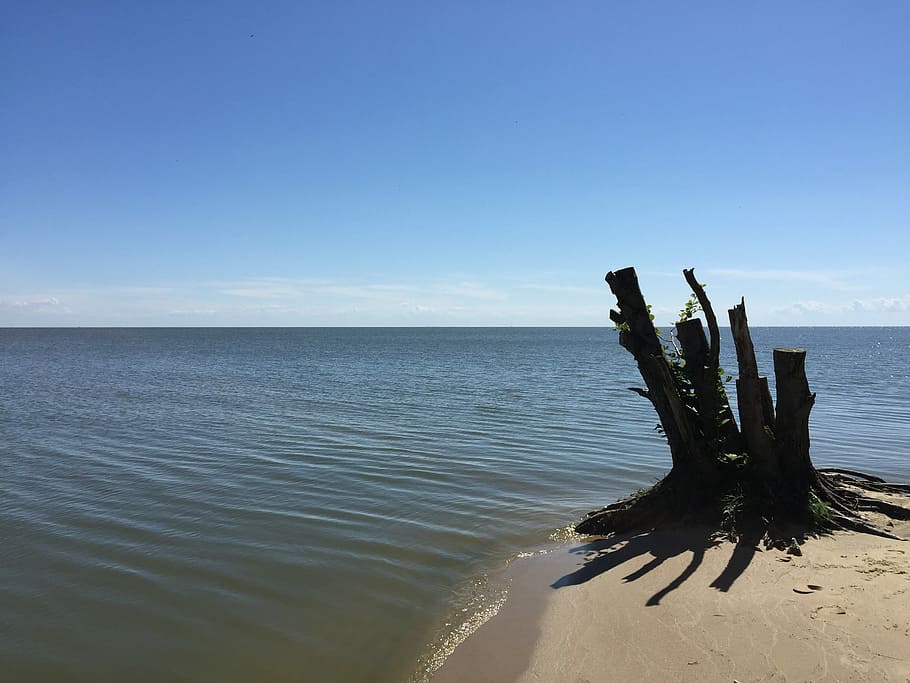 Nida, Lithuania, Water, Ocean, Beach, summer, nature, glance HD wallpaper