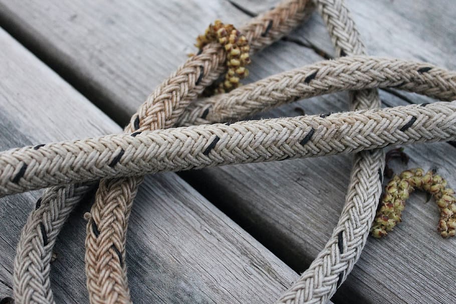 rope, wood, dock, closeup, planks, nautical, knot, cord, seeds, HD wallpaper