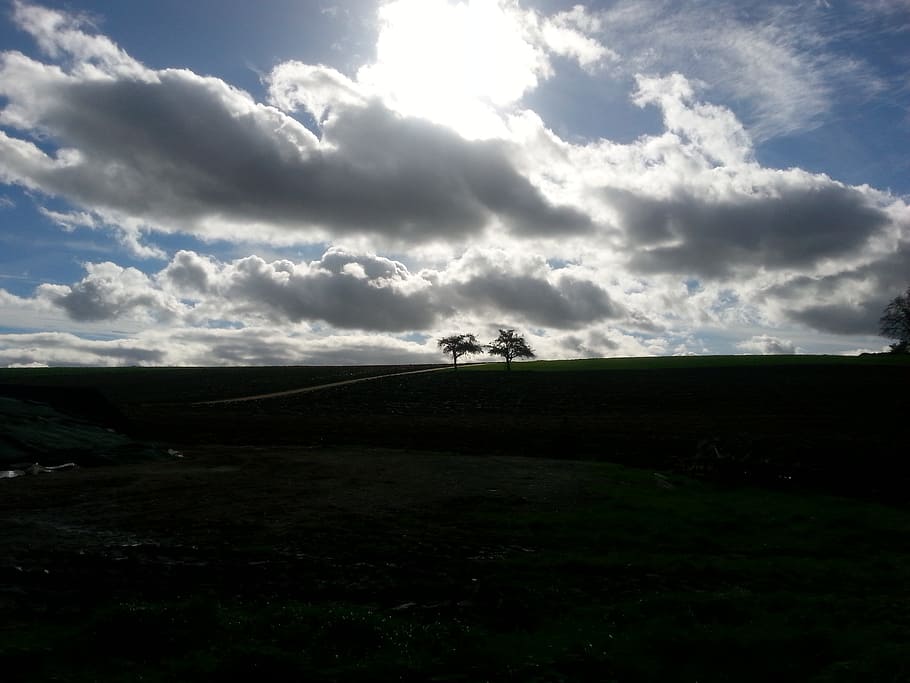 forward, clouds, nature, trees, shadow, cloudiness, landscape HD wallpaper