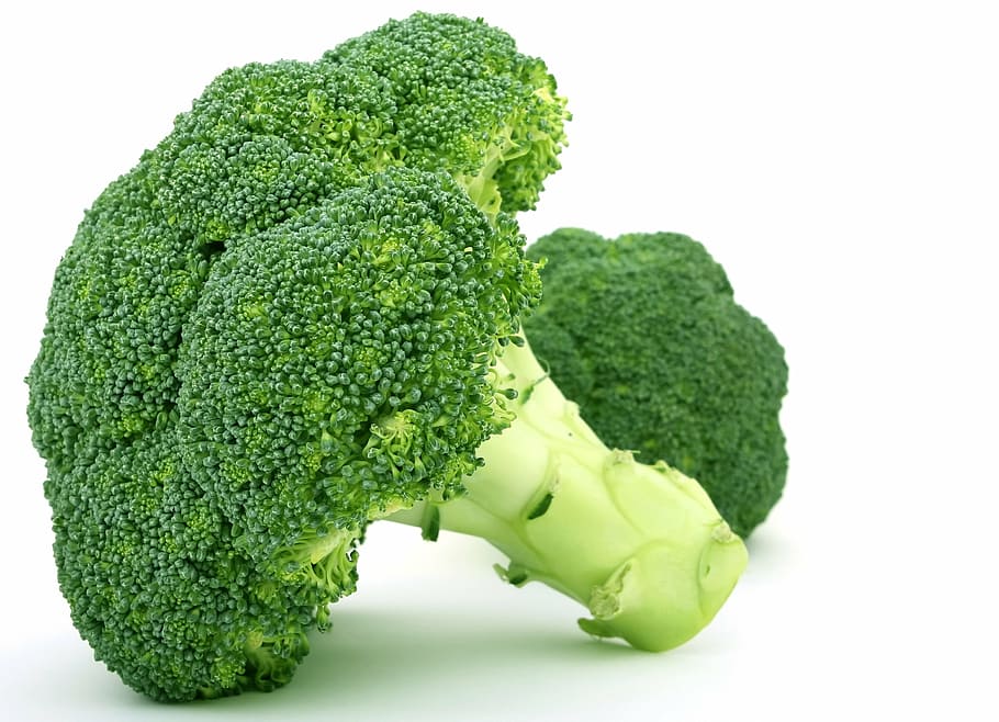 appetite-broccoli-brocoli-broccolli-calories.jpg