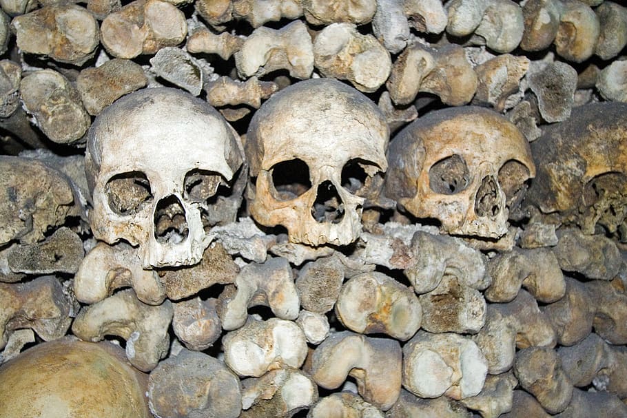 skulls, death, bone, human skeleton, human skull, human bone HD wallpaper