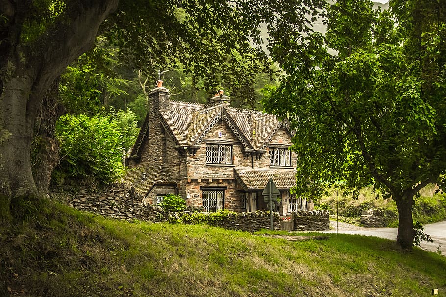 gray concrete structure surrounded by green leafed trees, lonely house HD wallpaper