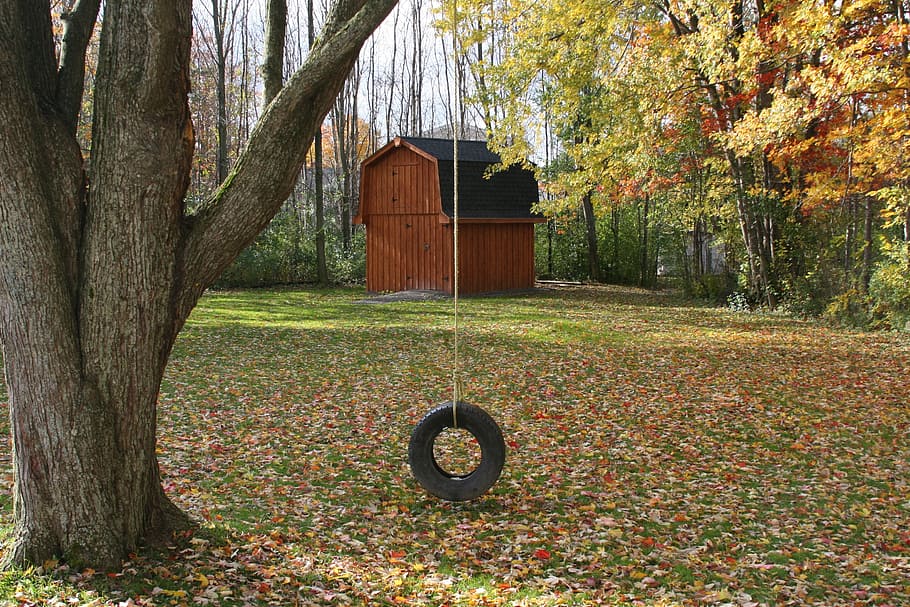 black tire swing near tree at daytime, barn, plant, autumn HD wallpaper
