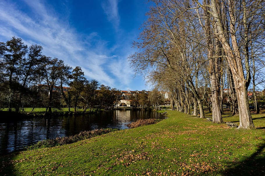 Trees, River, Allariz, Nature, no people, day, cloud - sky HD wallpaper