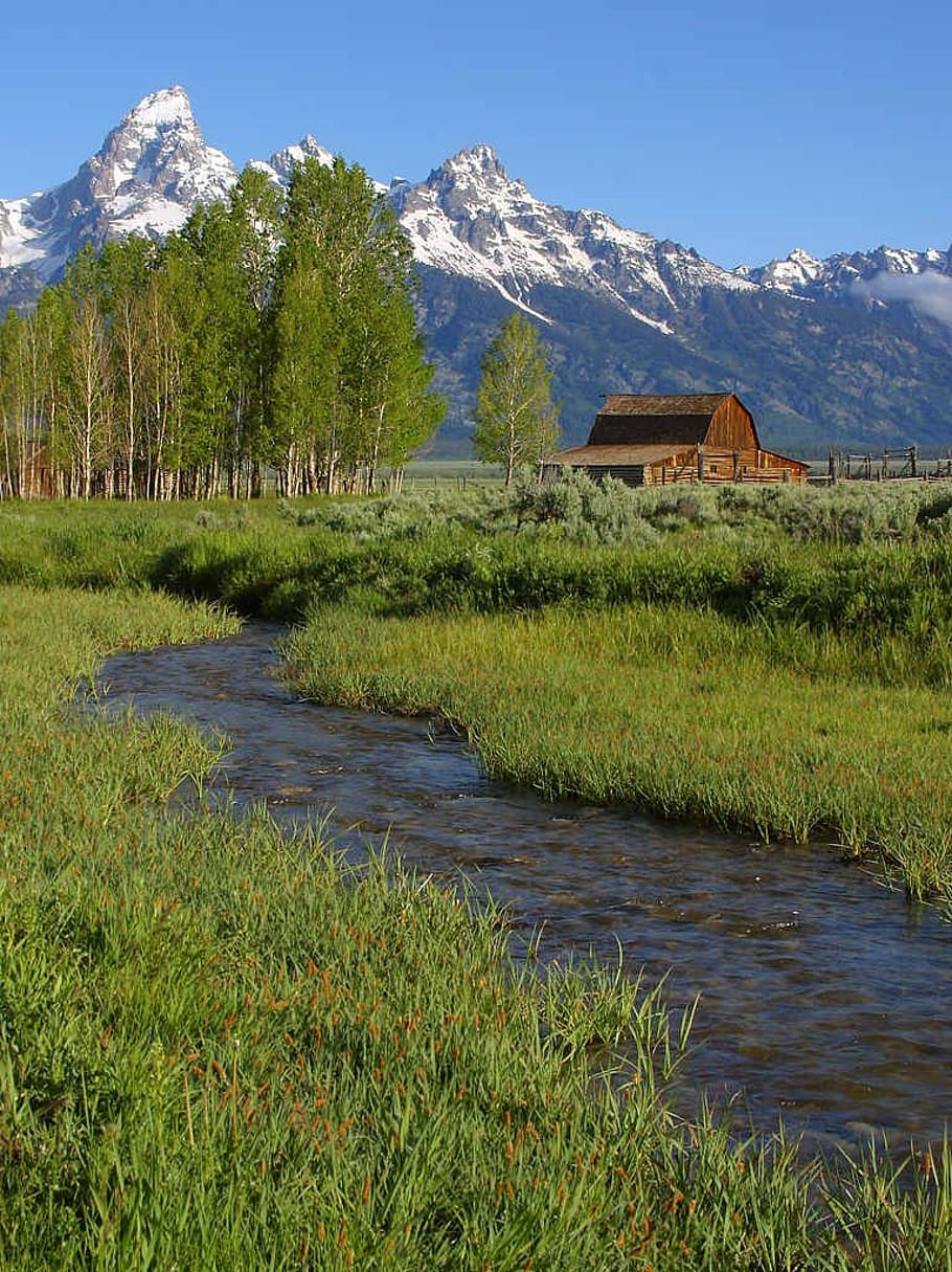 grand teton national park, mormon row barn, wyoming, usa, nature, HD wallpaper