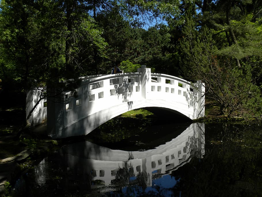 white, water, bridge, cross, journey, arch, walking, bright HD wallpaper