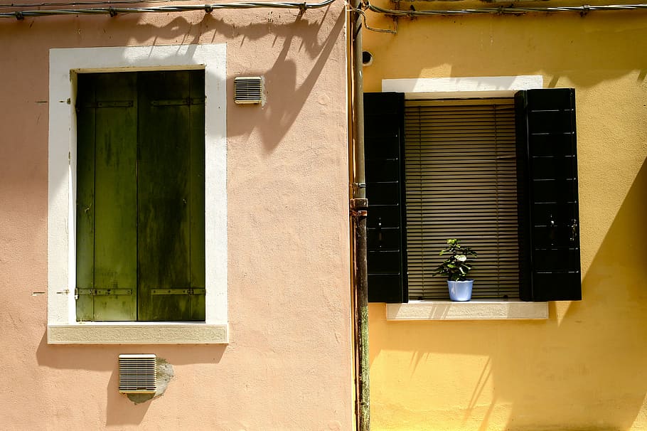 green potted plant beside window, potted plant on window, building HD wallpaper