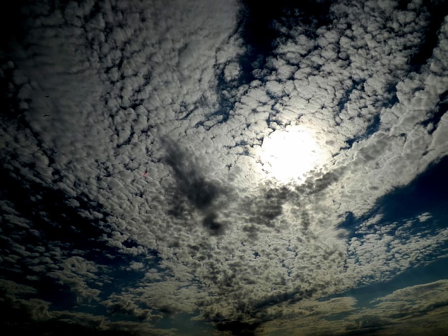 Cloud, Fluffy, White, sky, blue, in the evening, space, space exploration HD wallpaper