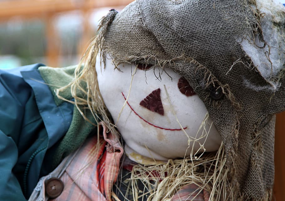 nature, face, head, scarecrow, close-up, clothing, focus on foreground HD wallpaper