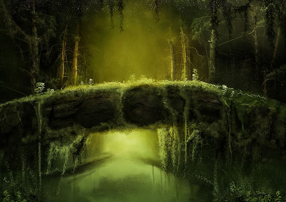 bridge over river illustration, forest, mysterious, fantasy, gloomy