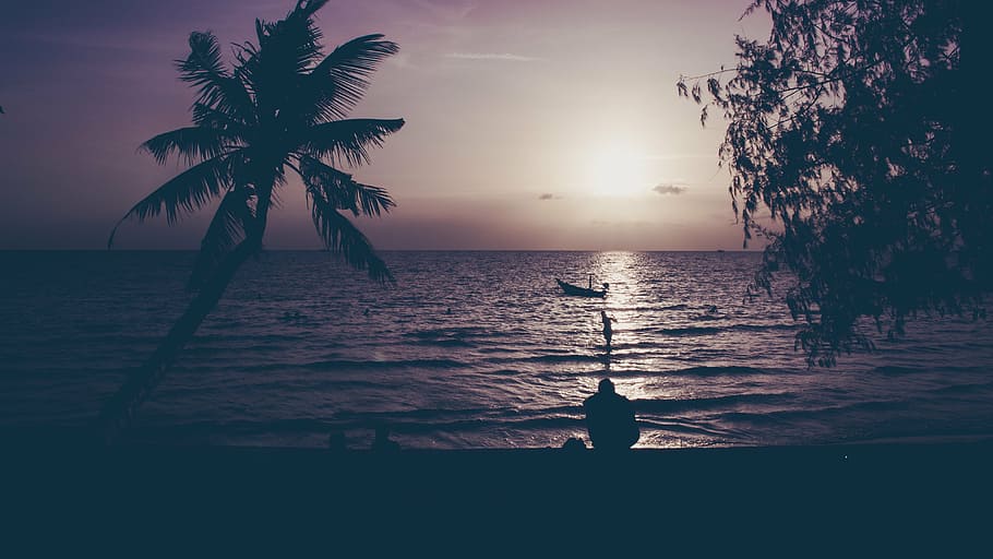 silhouette of a person sitting on seashore, photo, tree, beside HD wallpaper