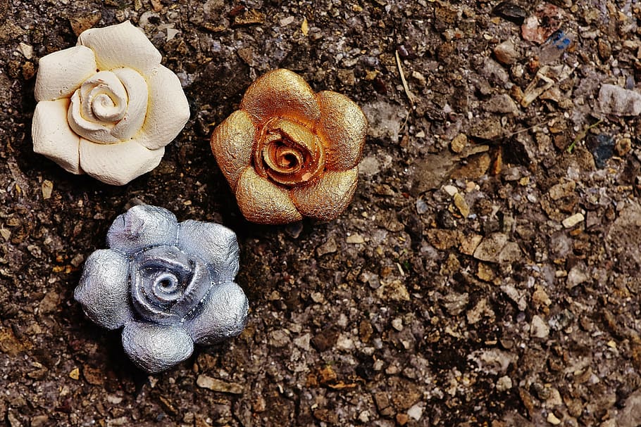 roses, silver, gold, white, flowers, beautiful, land, no people HD wallpaper