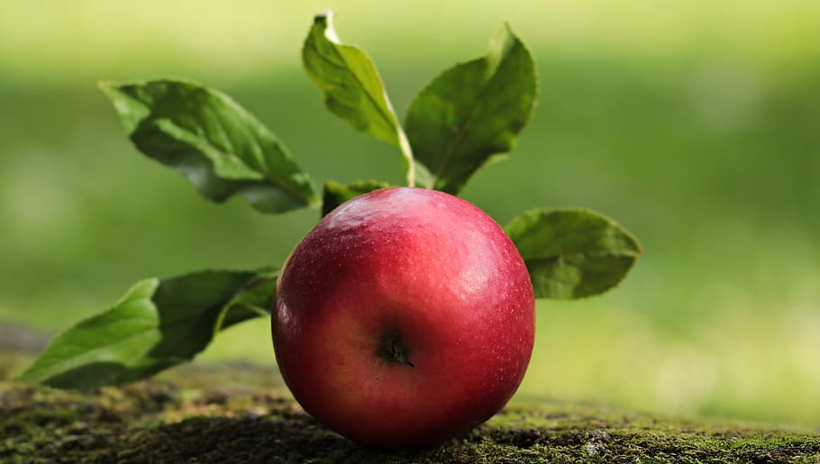 round red fruit, apple, red apple, delicious, vitamins, frisch HD wallpaper
