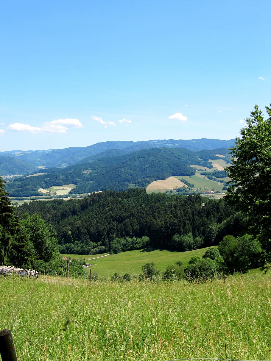 black forest, view, landscape, distant view, plant, scenics - nature HD wallpaper