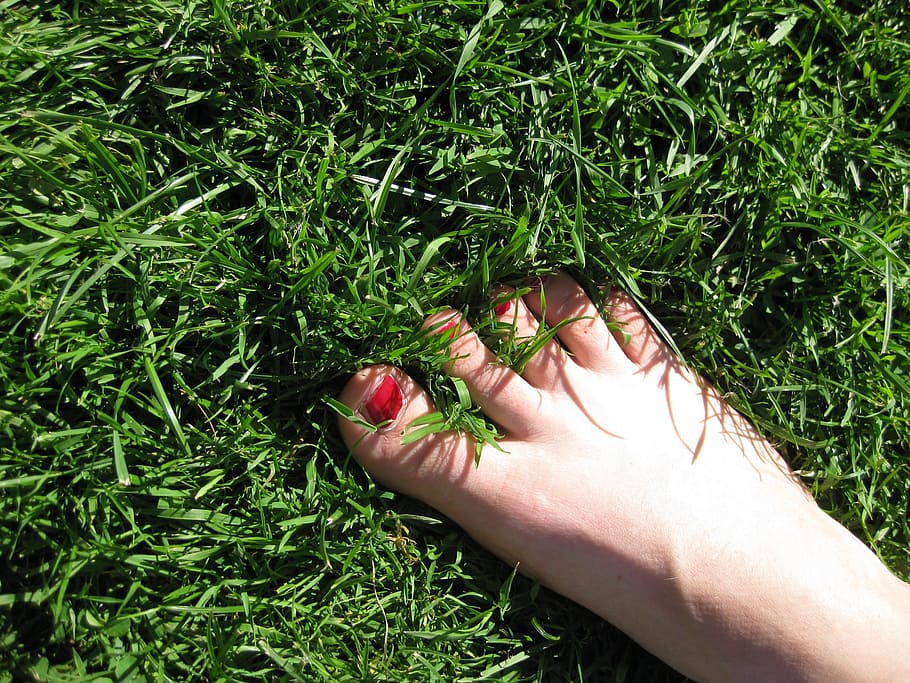 right human foot, meadow, grass, green, toe, toenail, outdoors HD wallpaper