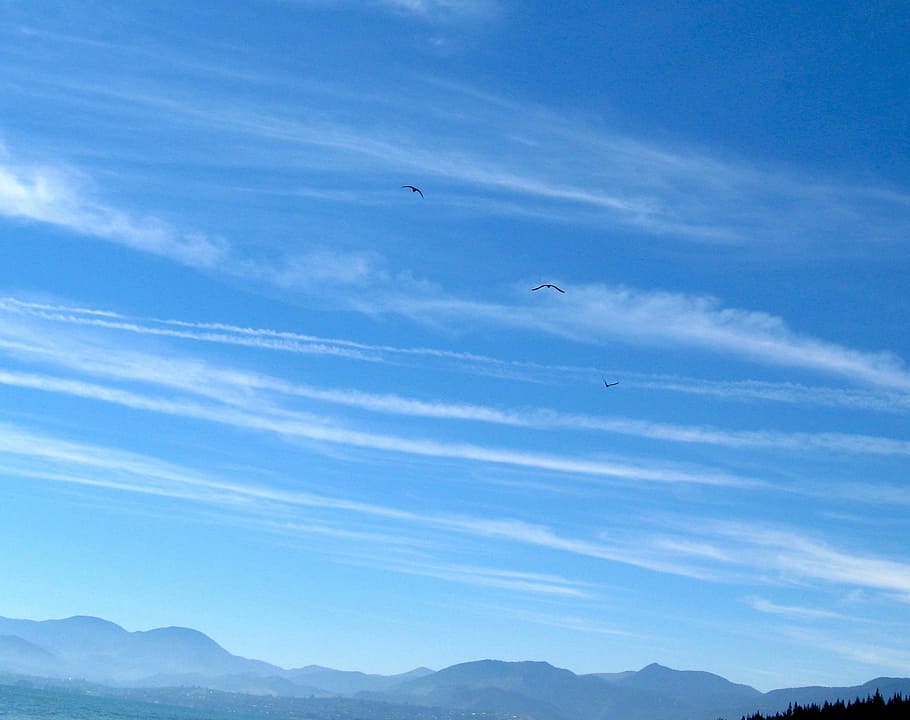 birds in blue sky, clouds, outdoors, scenic, tranquil, stratosphere HD wallpaper