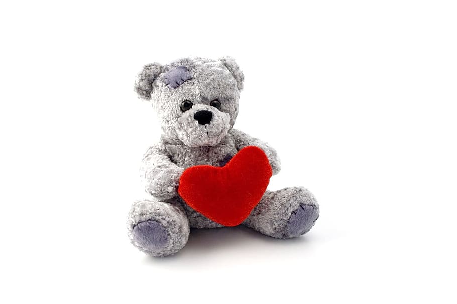photo of gray bear holding heart plush toy, teddy bear, animal