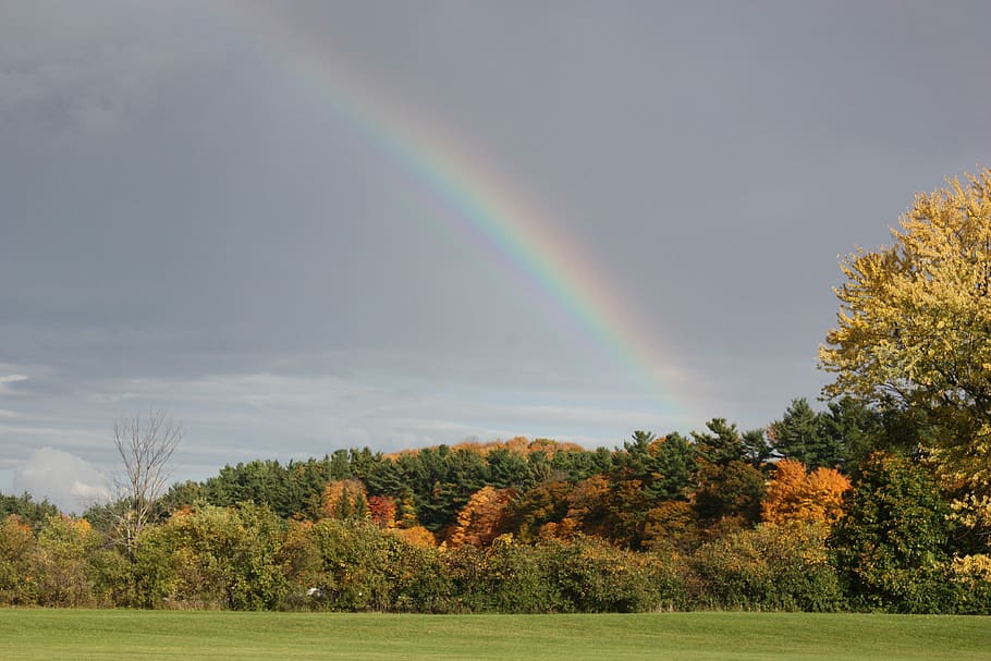 rainbow, fall, leaves, fall leaves, landscape, sky, clouds HD wallpaper