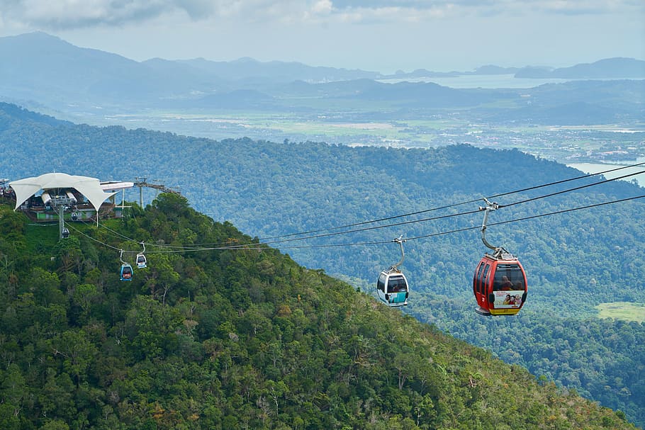 several cable cars over green trees during daytime, forest HD wallpaper