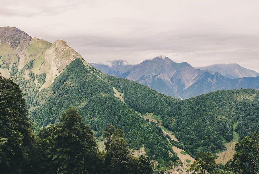 mountain, range, view, scenic, landscape, woods, forest, nature HD wallpaper