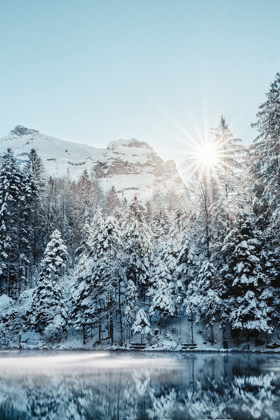 pine trees covered with snow during daytime, tree and mountain covered with snow under gray and blue sky during daytime HD wallpaper