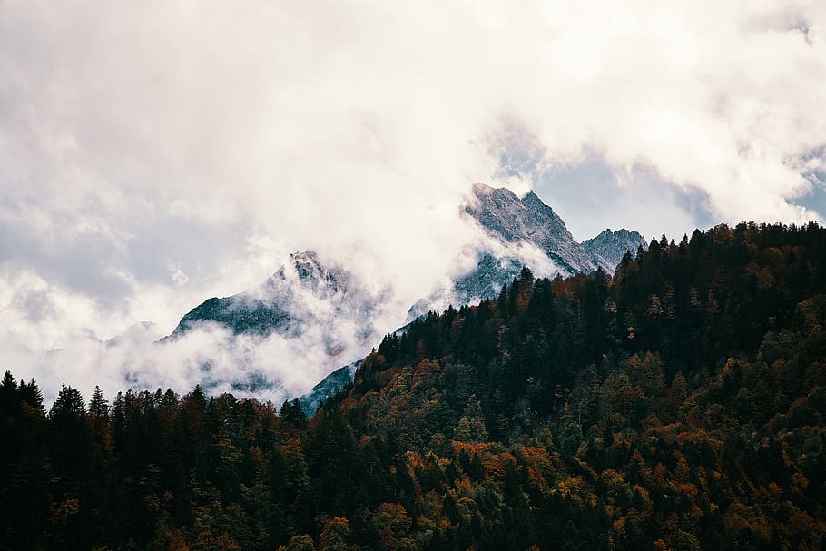 top view of mountain, mountain covered with cloud during daytime HD wallpaper