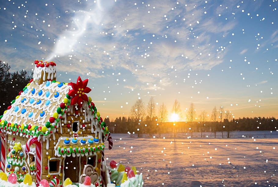 pine tree seashore, christmas, gingerbread, snow, advent, christmas baking HD wallpaper
