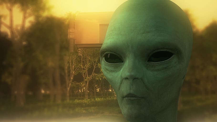 closeup photo of green alien head illustration, stranger, 3d model