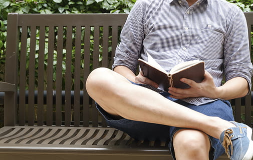 bench, fashion, man, person, background, blur, book, casual, daylight HD wallpaper