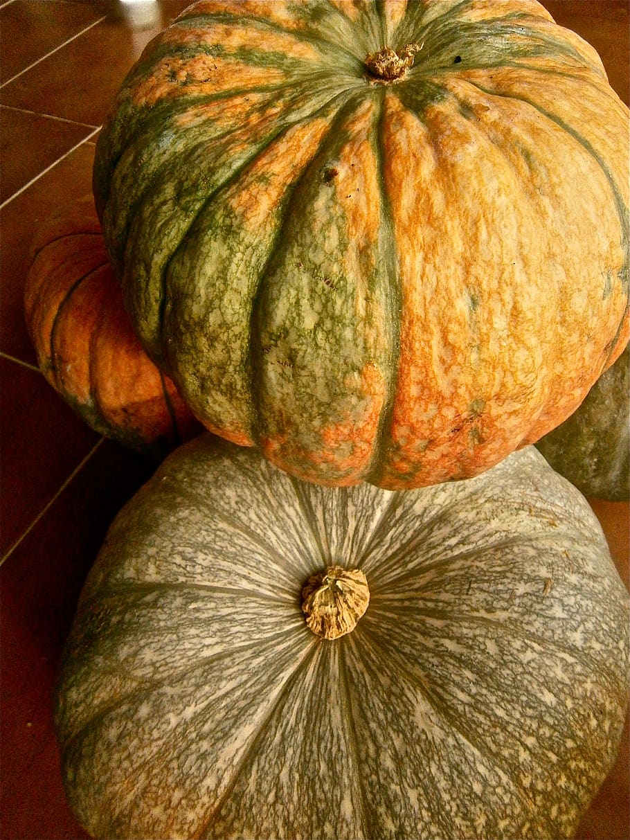 fruit, pumpkin, vegetable, autumn, nature, food and drink, freshness HD wallpaper