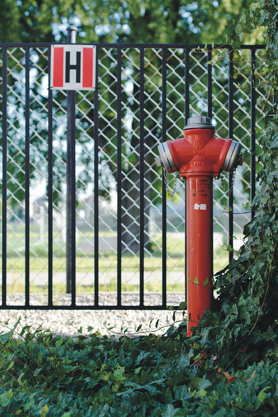 fire hydrant, water, ivy, fencing, protection, red, security HD wallpaper