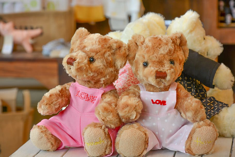 toy, doll, bear, teddy, childhood, teddy bear, furry, gift HD wallpaper