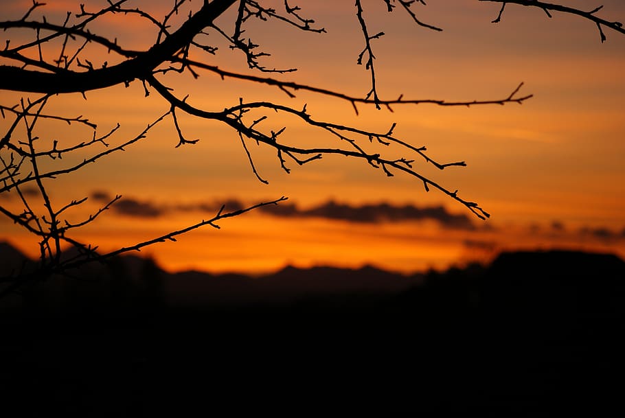 silhouette, orange, sunset, sky, twilight, clouds, orange color HD wallpaper