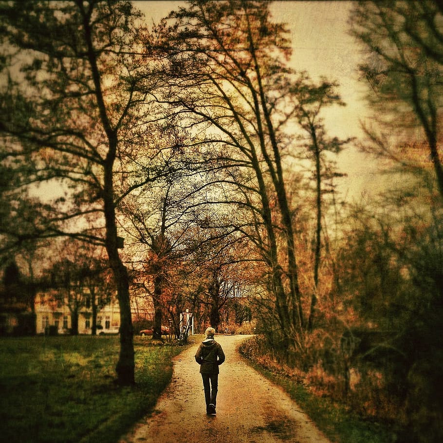 woman wearing jacket standing on pathway, person, walking on HD wallpaper
