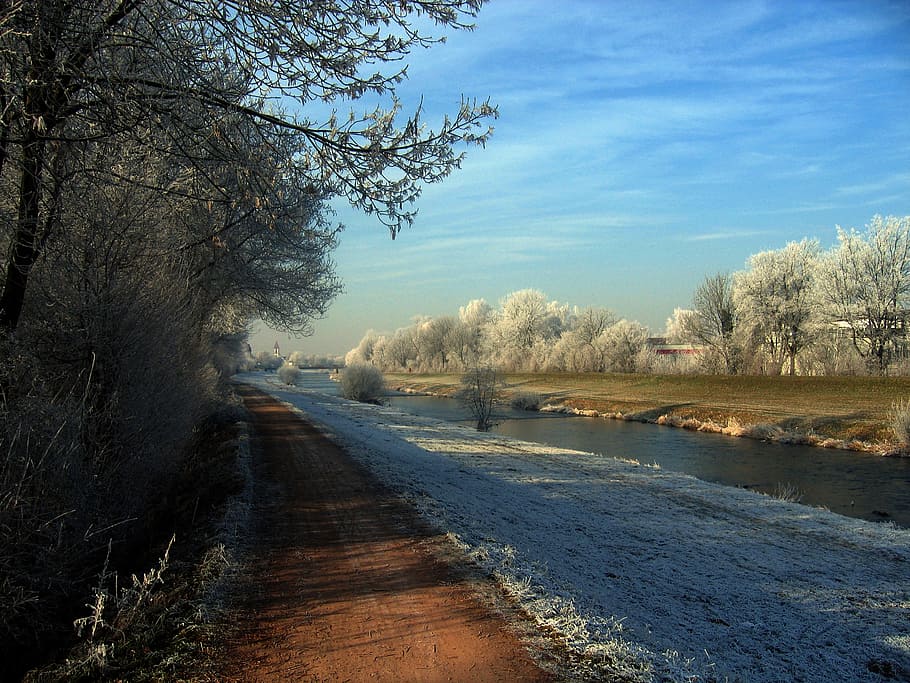 winter, bach, cold, water, wintry, snow, nature, tree, plant HD wallpaper