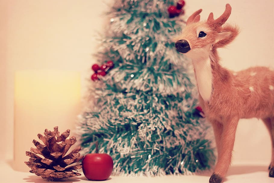 brown deer stand figure with green christmas tree and ceramic apple HD wallpaper