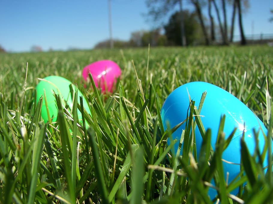 blue, pink, and green egg toys on grass, easter egg, spring HD wallpaper
