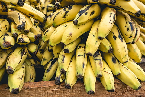 Cuban bananas close up, fruit, food, freshness, healthy Eating HD wallpaper